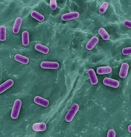 Antimicrobial
