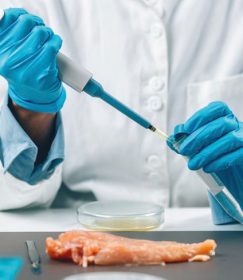 E. coli