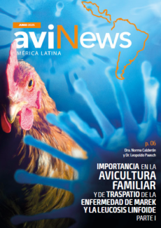 aviNews LATAM Junio 2025 
