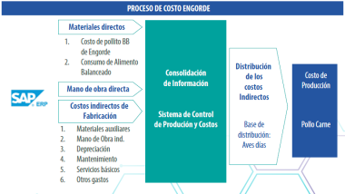 gestión pollo de engorde