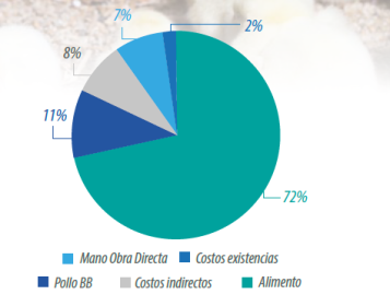 gestión pollo de engorde