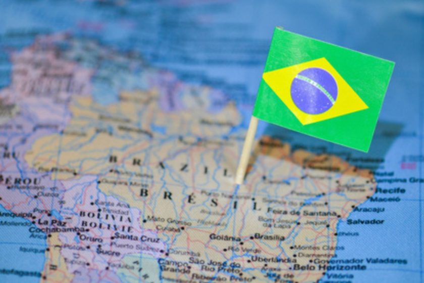 Influenza Aviar: 16 Países Levantan Restricciones a la Carne de Ave Brasileña