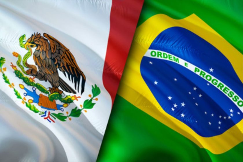 México reabre parcialmente importaciones avícolas desde Brasil tras brote de Influenza Aviar
