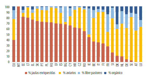 Soluciones potenciales para el síndrome del hígado graso hemorrágico en gallinas ponedoras
