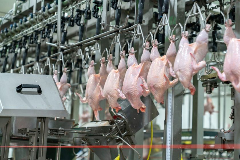 Reapertura estratégica: Argentina retoma exportaciones de productos avícolas a Japón