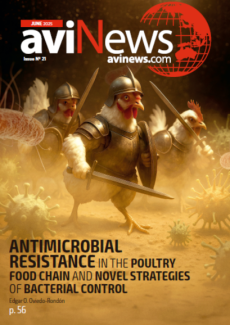 AviNews International June 2025 