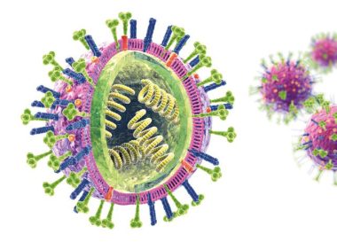 virus