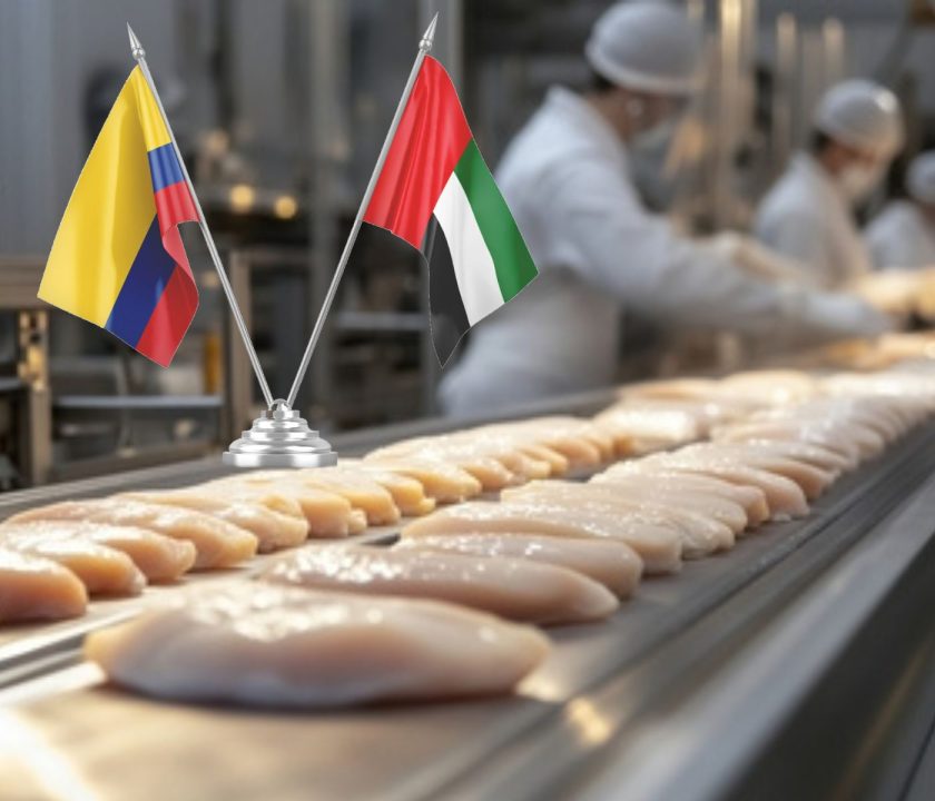 Colombia logra un nuevo hito: carne aviar habilitada para exportación a Emiratos Árabes Unidos