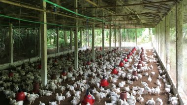 Metagenomic insights into Bangladesh’s poultry farm environments