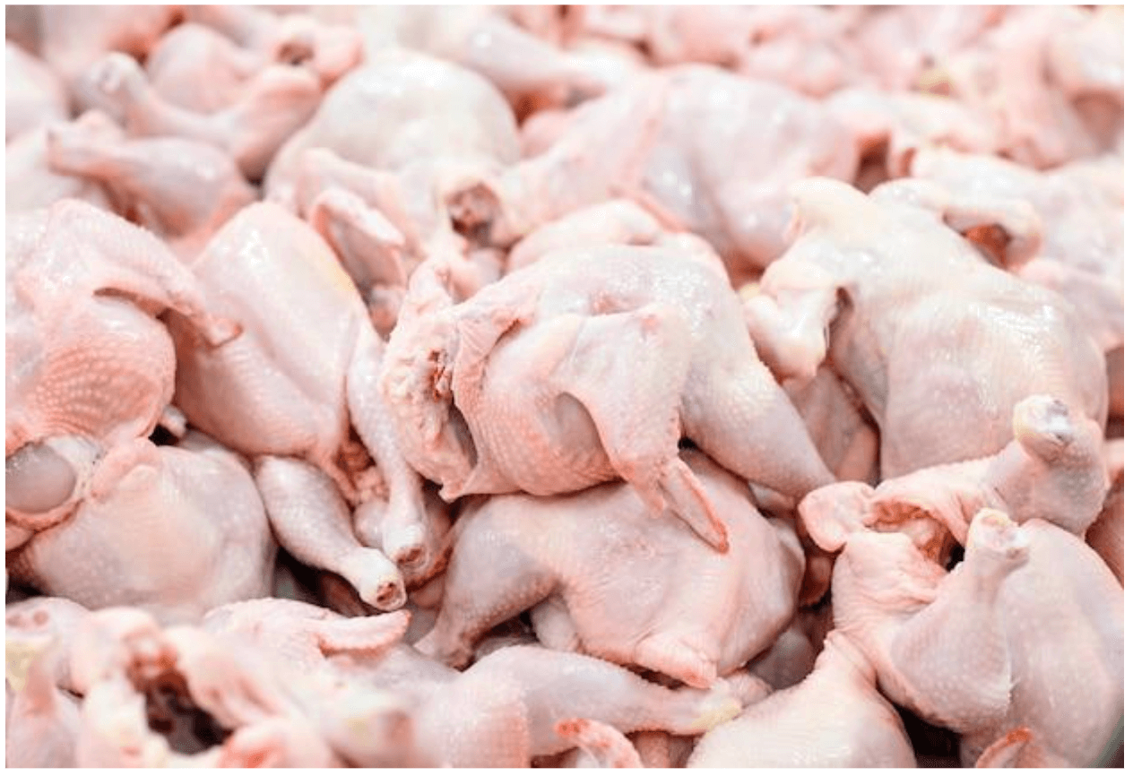 Pemerintah diminta guyur bansos untuk serap daging ayam di RPA