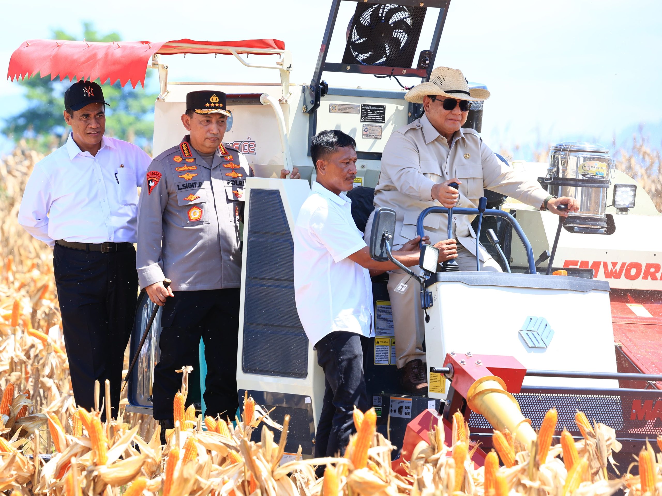 Malaysia minta 240 ribu ton jagung per tahun dari Indonesia
