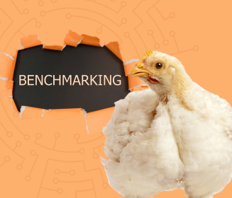 Imagen Revista Indicadores-chave de desempenho da produção de frango na América Latina: Benchmarking Internacional