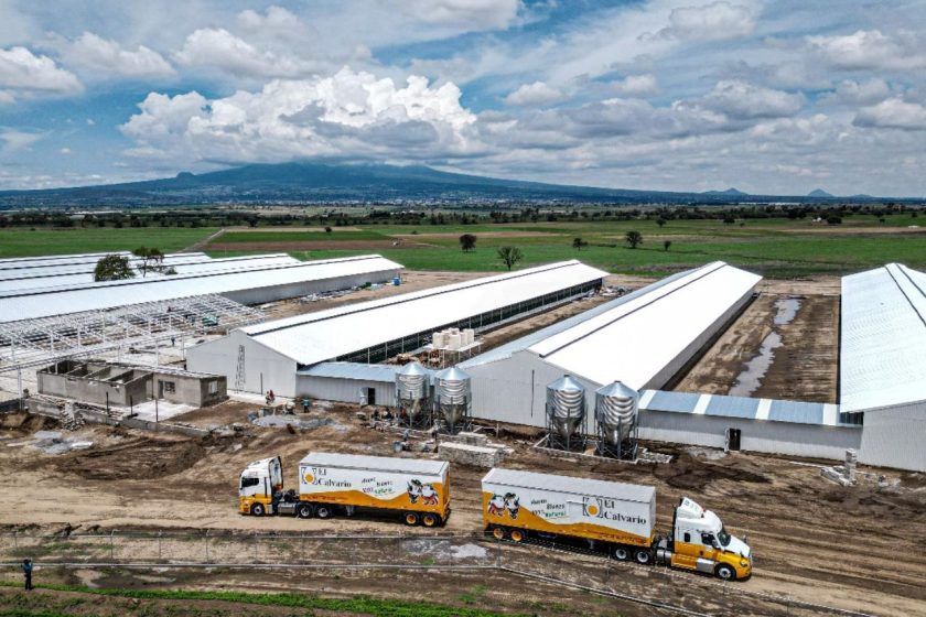 México: Tlaxcala impulsa el futuro avícola con la nueva planta de “El Calvario”