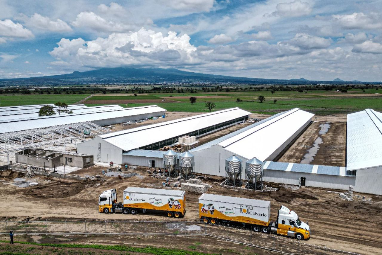 México: Tlaxcala impulsa el futuro avícola con la nueva planta de “El Calvario”
