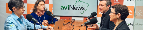 Influenza Aviária no Brasil: “Não é mais previsão de tempestade, estamos embaixo da chuva”