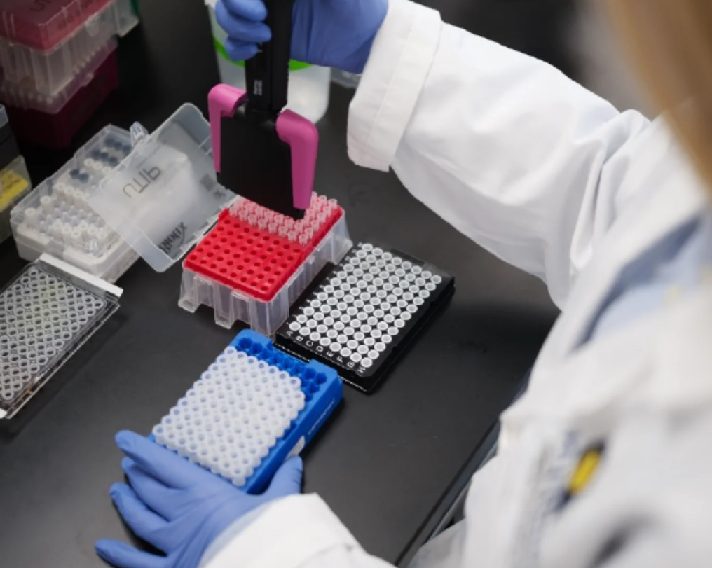 Hy-Line International researchers collaborate in study identifying Genes Linked to Avian Influenza Survival in Chickens
