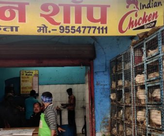 Poultry shops in India’s Gorakhpur shut for 21 days due to AI cases