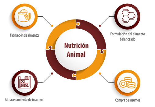 nutrición gallinas ponedoras