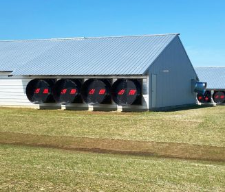 Ventilador de túnel Oxsano™: eficiencia, innovación y bienestar animal en un solo sistema