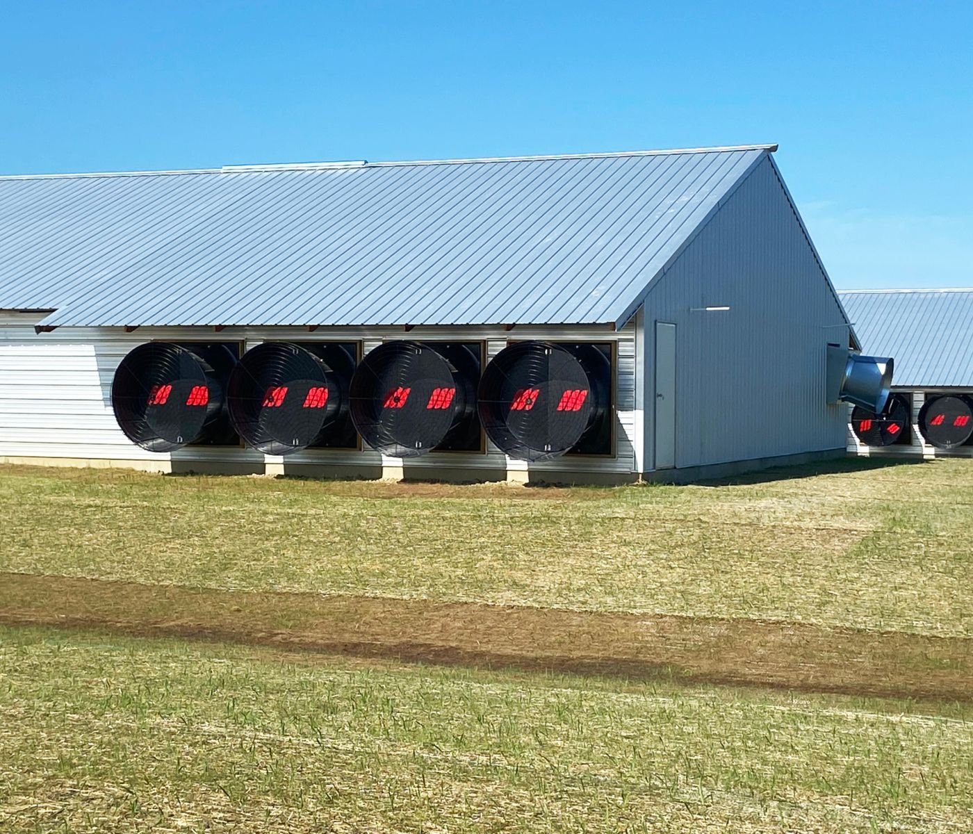 Ventilador de túnel Oxsano™: eficiencia, innovación y bienestar animal en un solo sistema