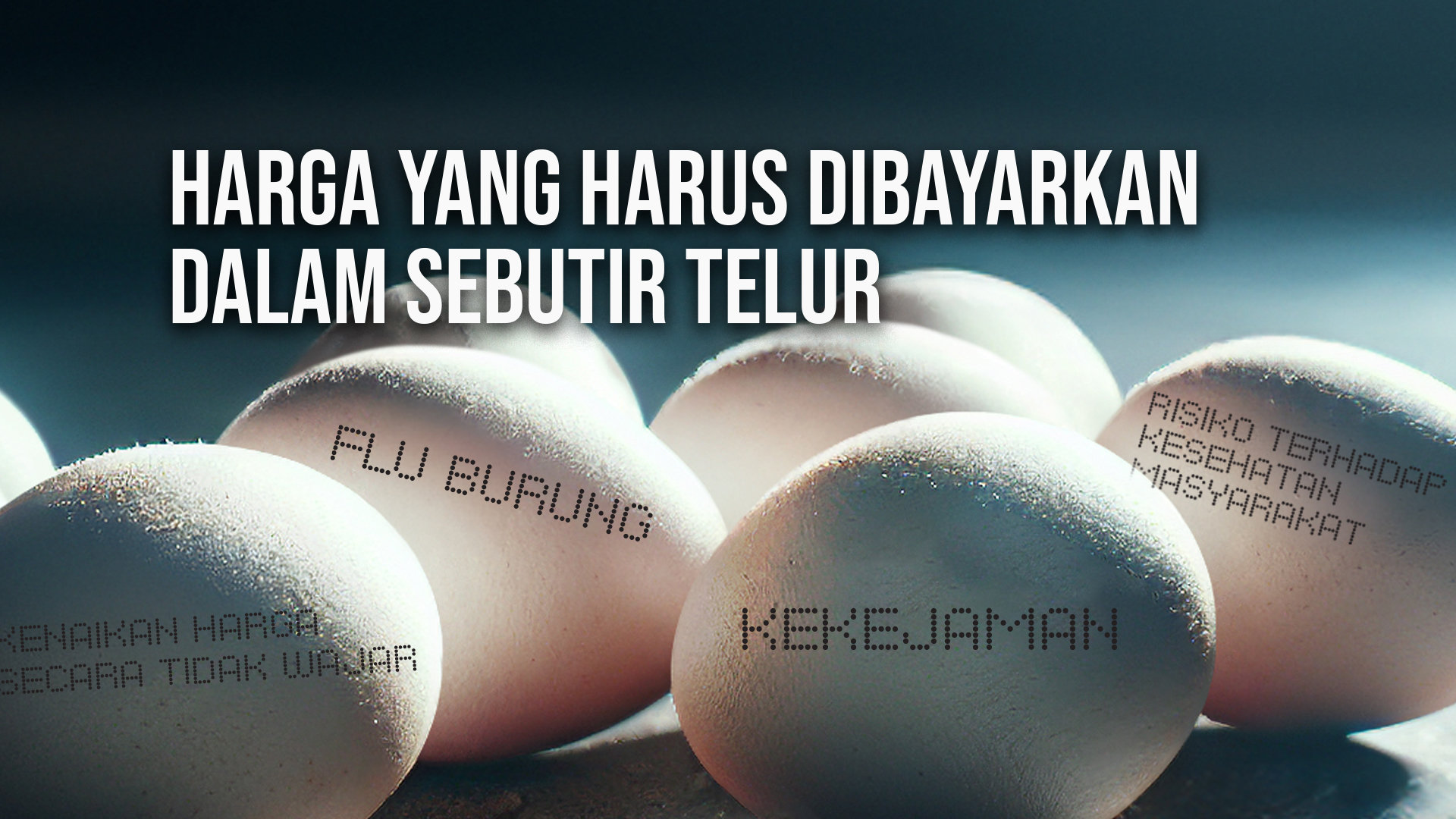 Asia jadi pusat investigasi global terhadap kesejahteraan hewan di industri telur
