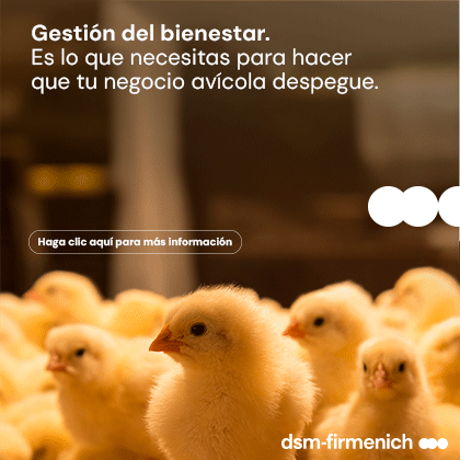 http://DSM%20JUNIO%20A%20NOVIEMBRE