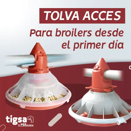 http://Tigsa%202025