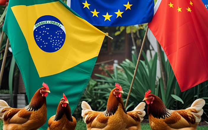 Brazil urges China, EU to lift poultry bans after Avian Flu