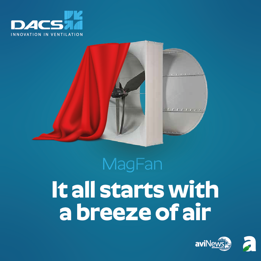 http://DACS%20INTERNATIONAL
