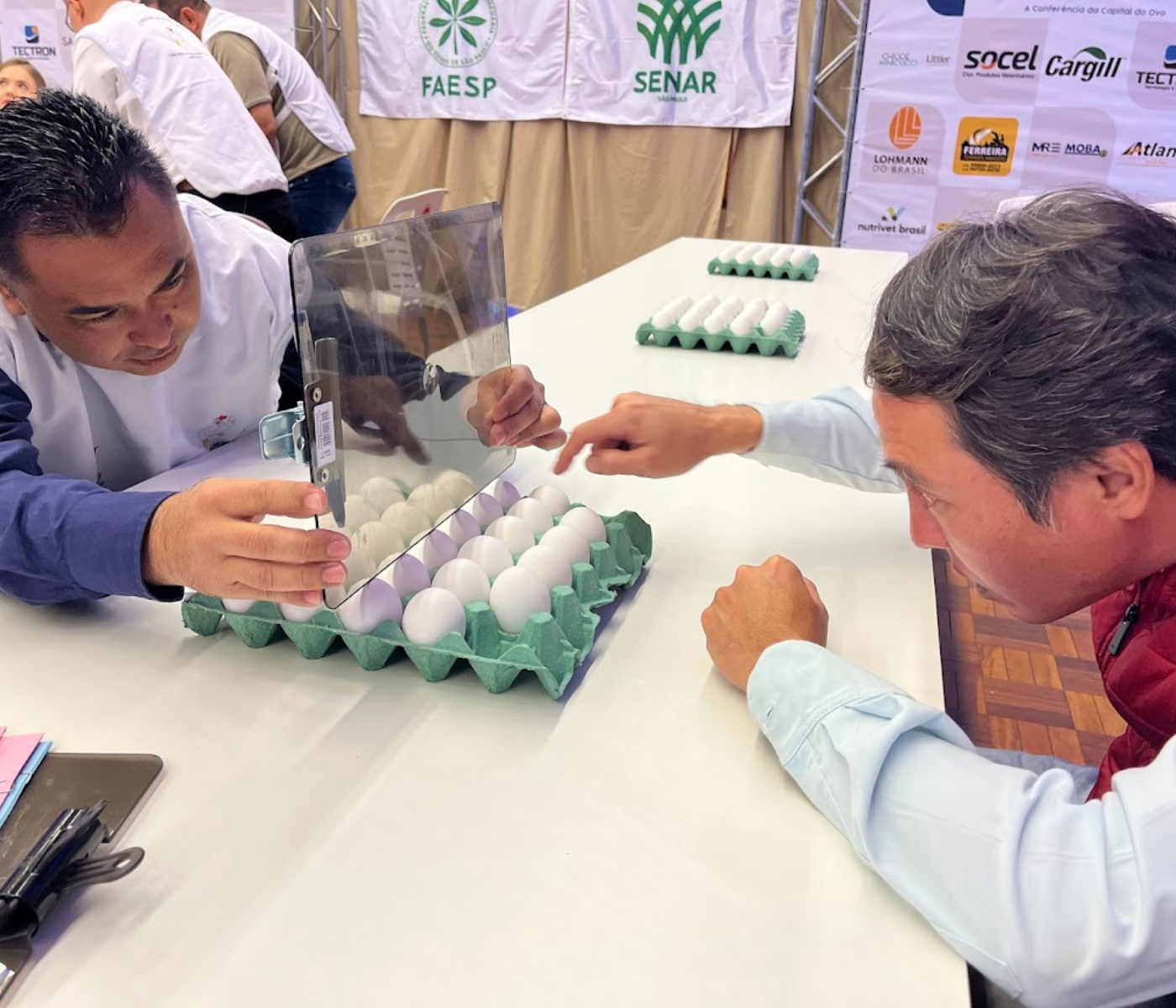 Concurso de Qualidade de Ovos de São Paulo abre inscrições para produtores de todo o estado