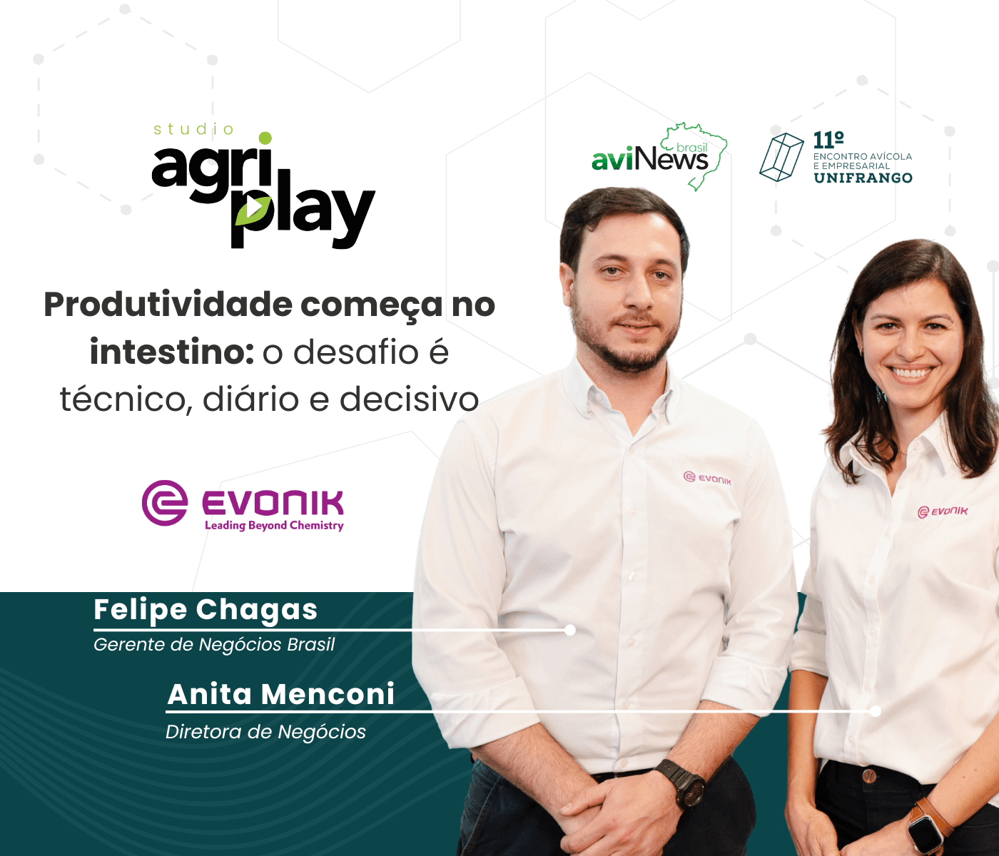Alta produtividade sem prejuízos: o desafio da avicultura moderna no...