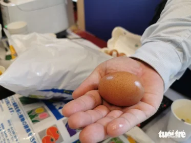 World’s ‘best-tasting eggs’ to spark Vietnam’s green startup drive