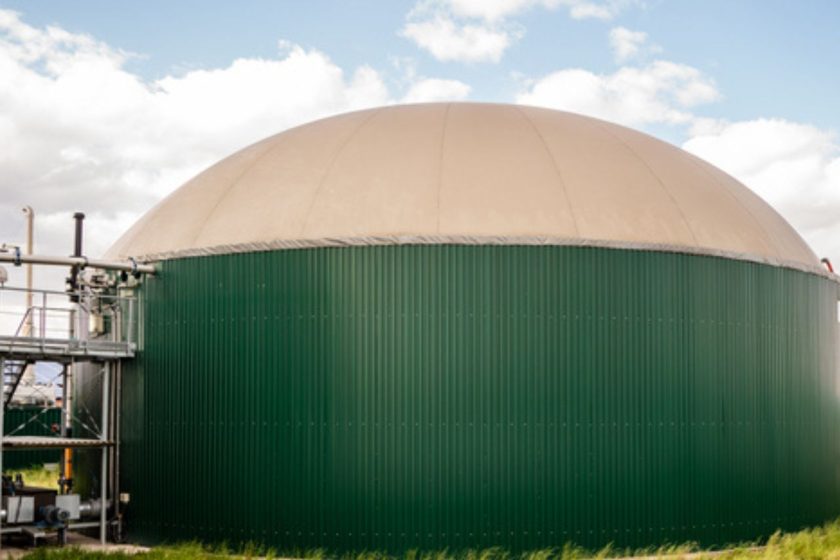 El biogás en la industria avícola de El Salvador: De los residuos al ahorro energético
