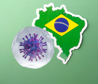 Panorama do vírus da bronquite infecciosa no Brasil
