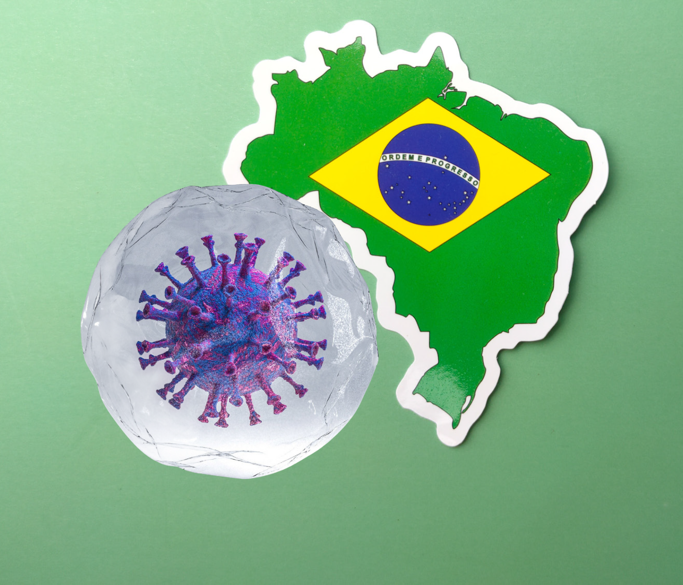 Panorama do vírus da bronquite infecciosa no Brasil