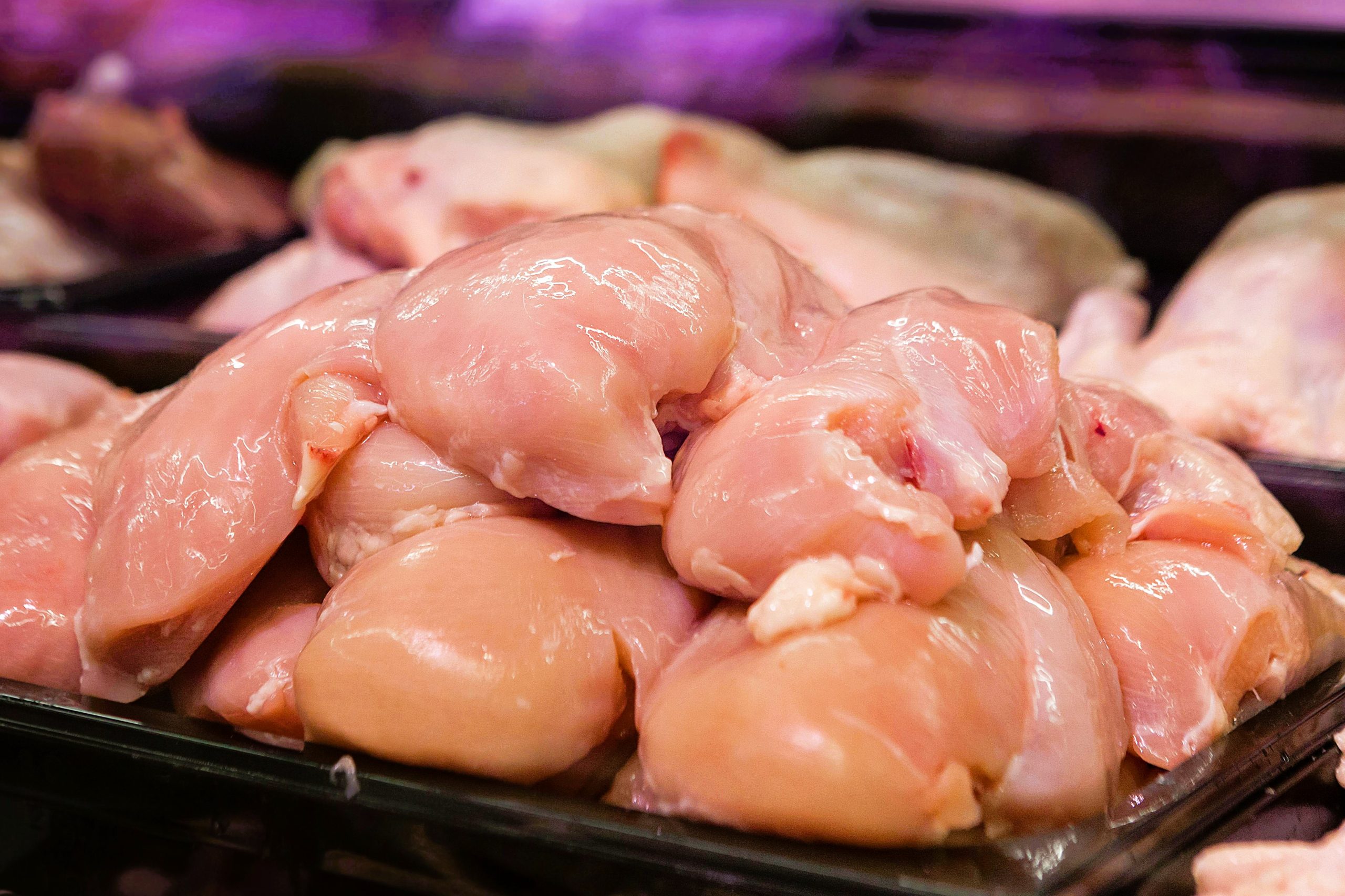 poultry