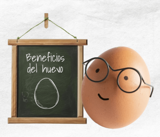 Imagen Revista El huevo como alimento funcional y sus componentes