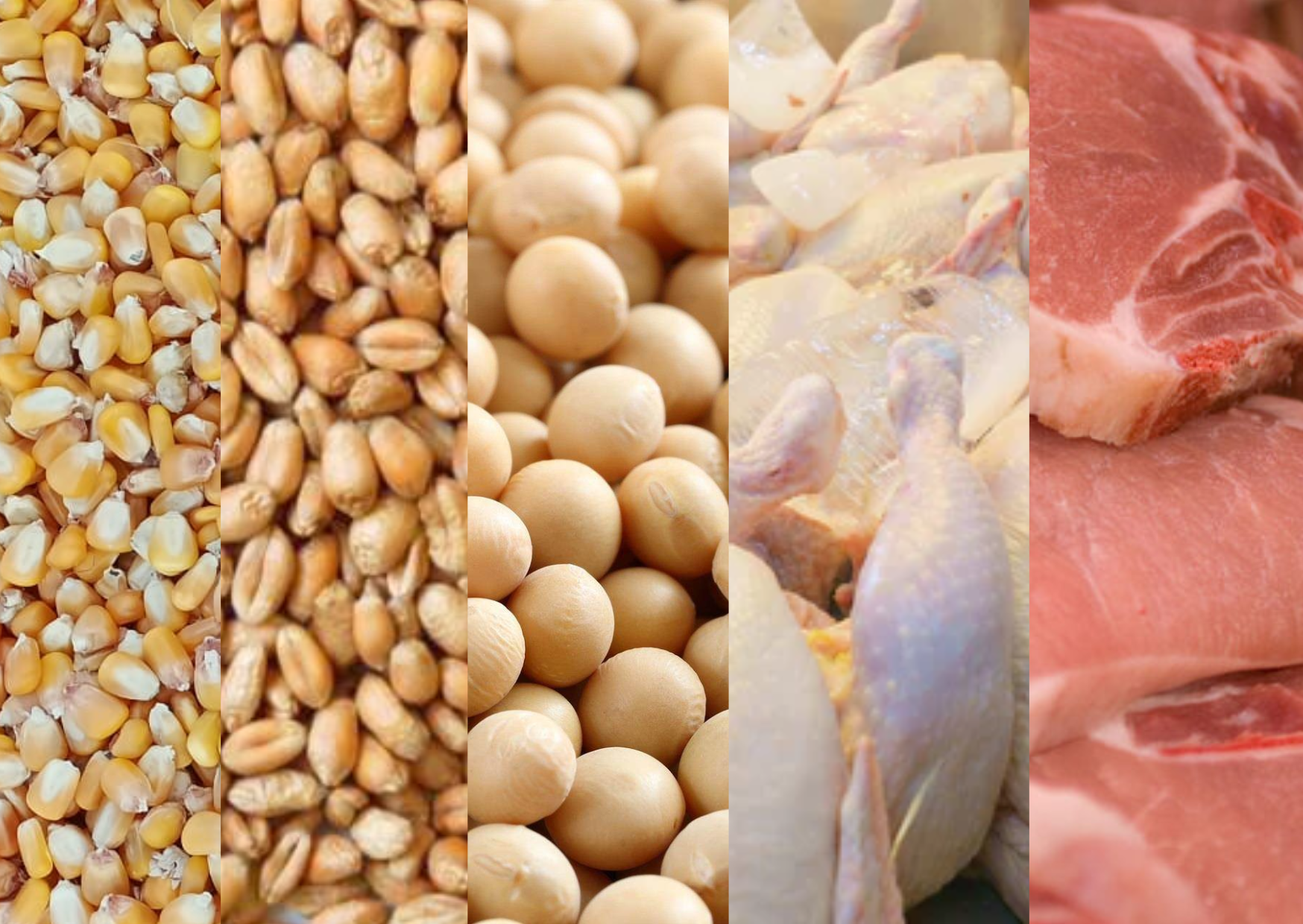 PH-US trade talks aim to boost food supply, shield local producers