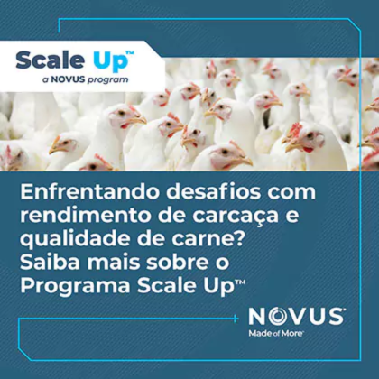 http://NOVUS%20|%20Até%2025/11/25