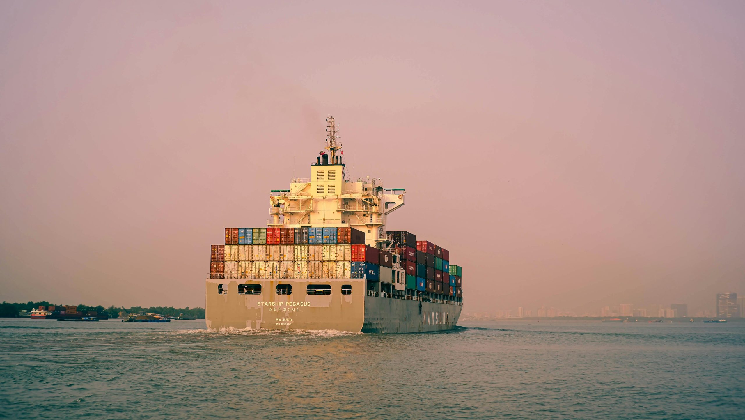 China fuels surge in Vietnam’s animal feed exports in Jan-May 2025