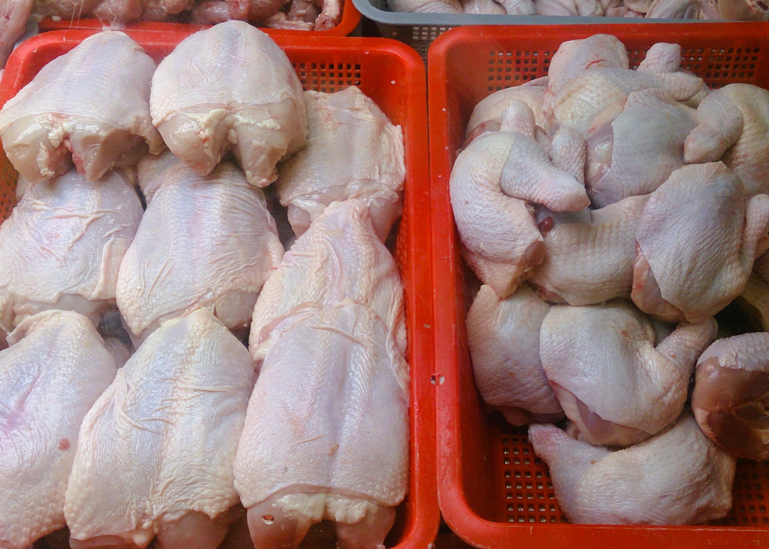 Philippines lifts ban on poultry imports from Australia