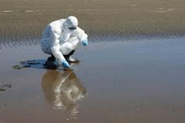 Chile fortalece su rol internacional en sanidad animal con proyecto de la FAO