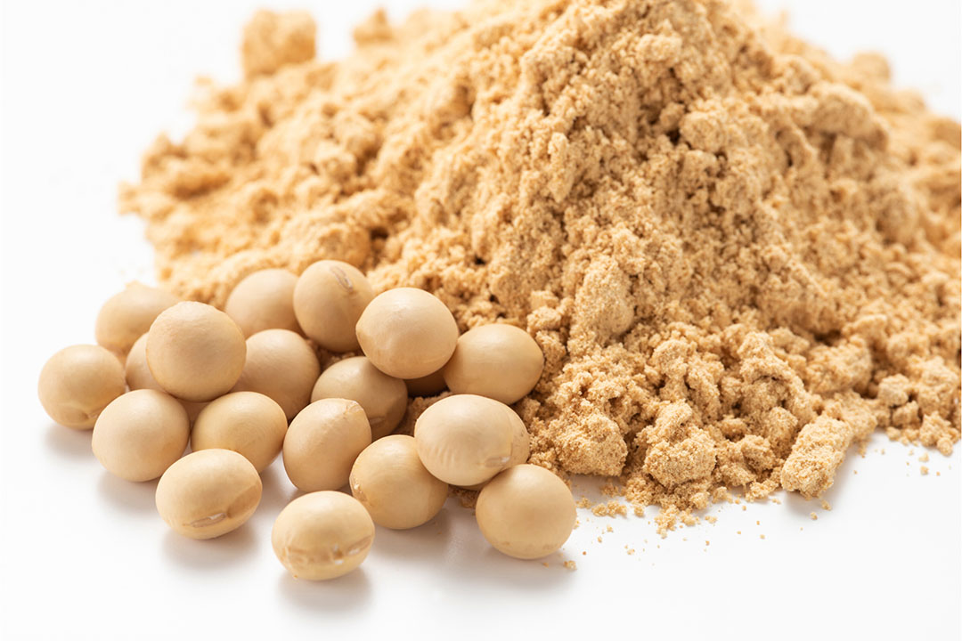 Vietnam becomes strategic market for US soybean industry