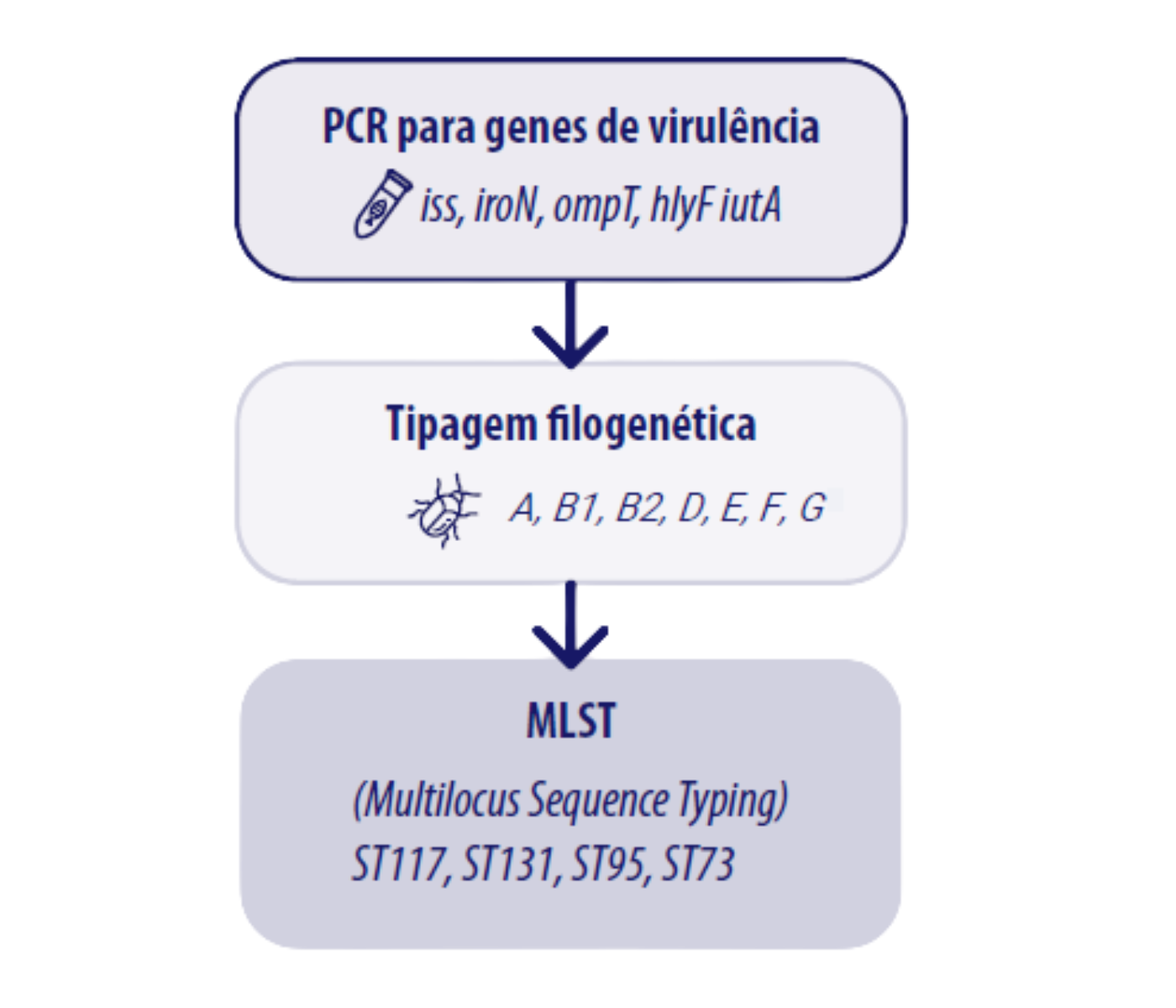 Figura 2 – Monitoramento Molecular