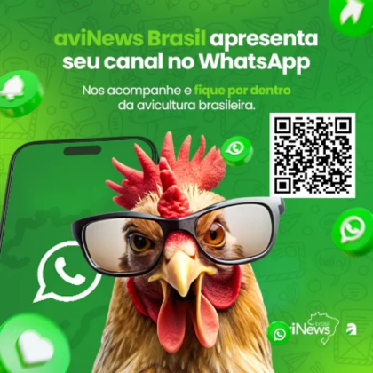 http://WhatsApp