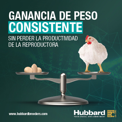 http://HUBBARD%20LATAM