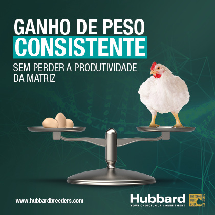 http://Hubbard%20|%20Valido%20até%2022.11.2025
