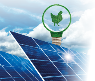 Imagen Revista Energía solar y bombas de calor para la climatización de naves avícolas: resultados experimentales del proyecto RES4LIVE