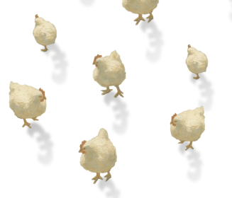 Imagen Revista Actualización de costes en granjas de pollos