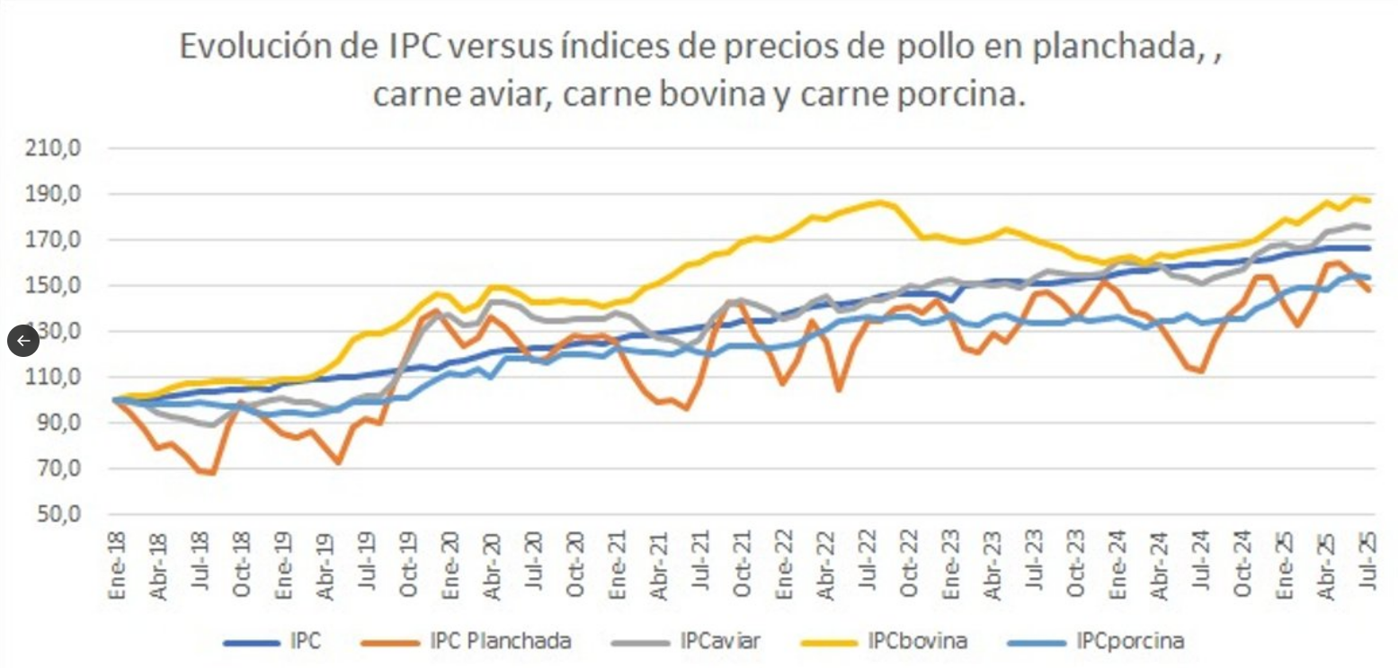 precio carne de pollo